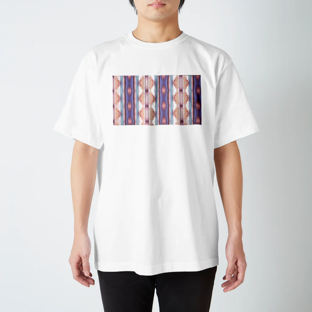 Kazuki SamataのModern ethnic costume_23.01.2016 スタンダードTシャツ