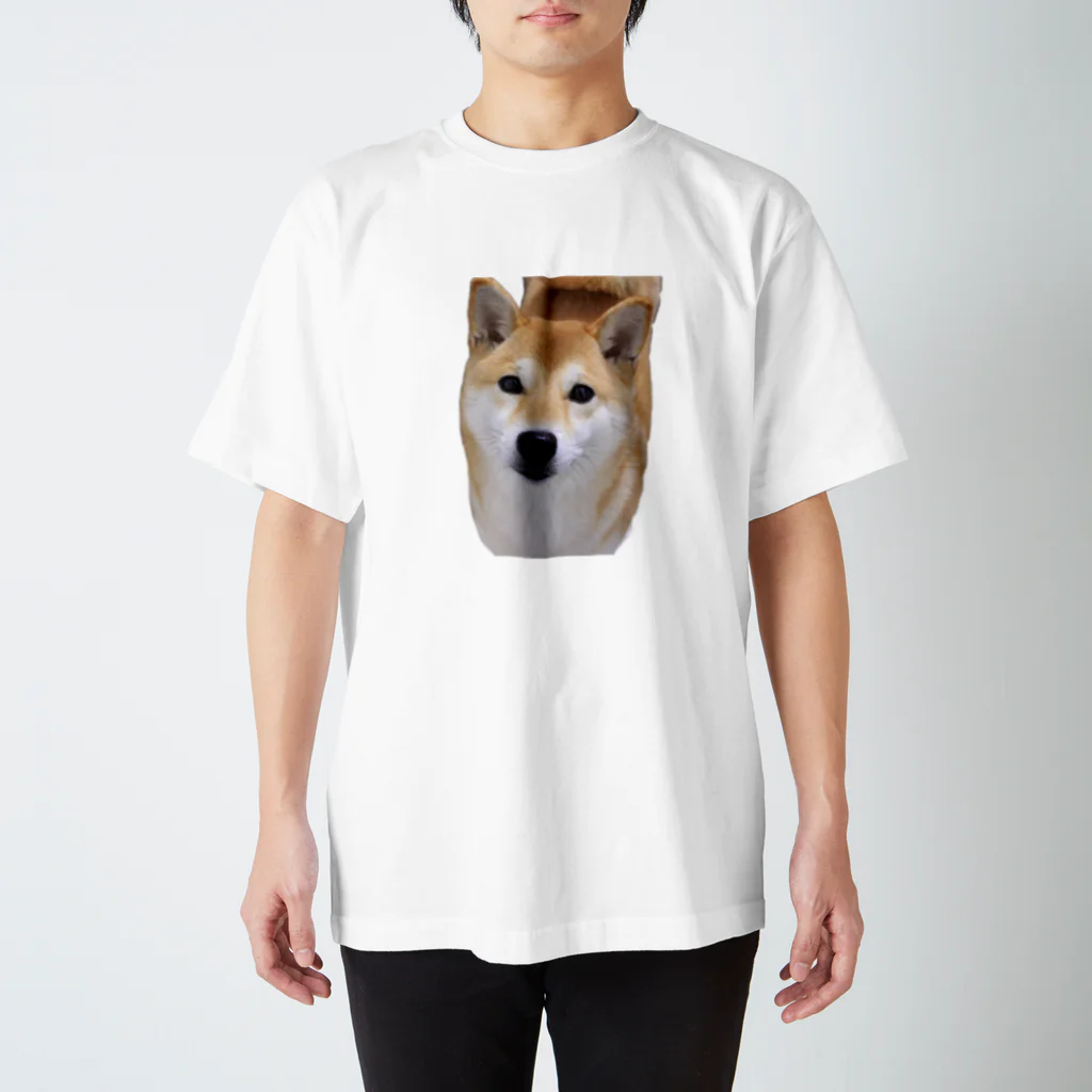 kawaii柴犬のkawaii柴犬 Regular Fit T-Shirt