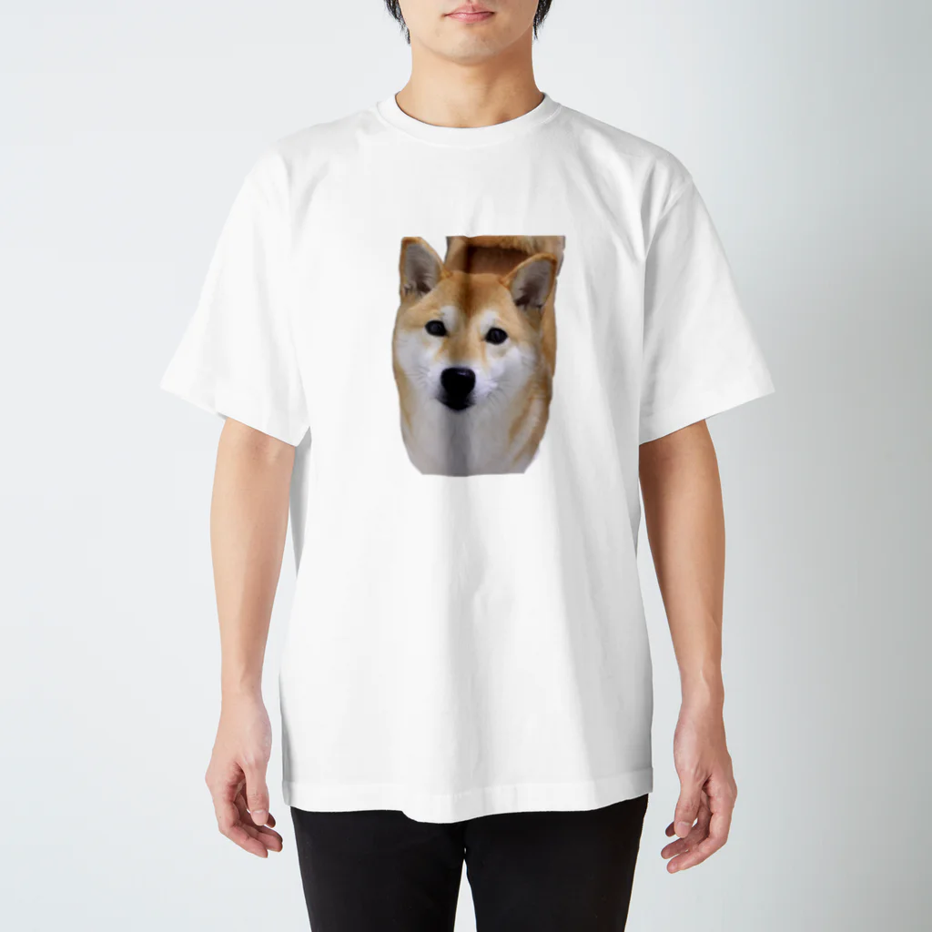 kawaii柴犬のkawaii柴犬 スタンダードTシャツ