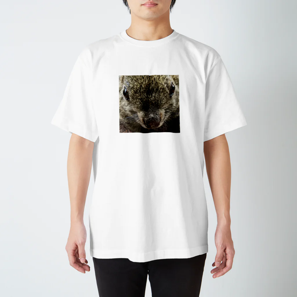 Gifu/Japanのリス Regular Fit T-Shirt