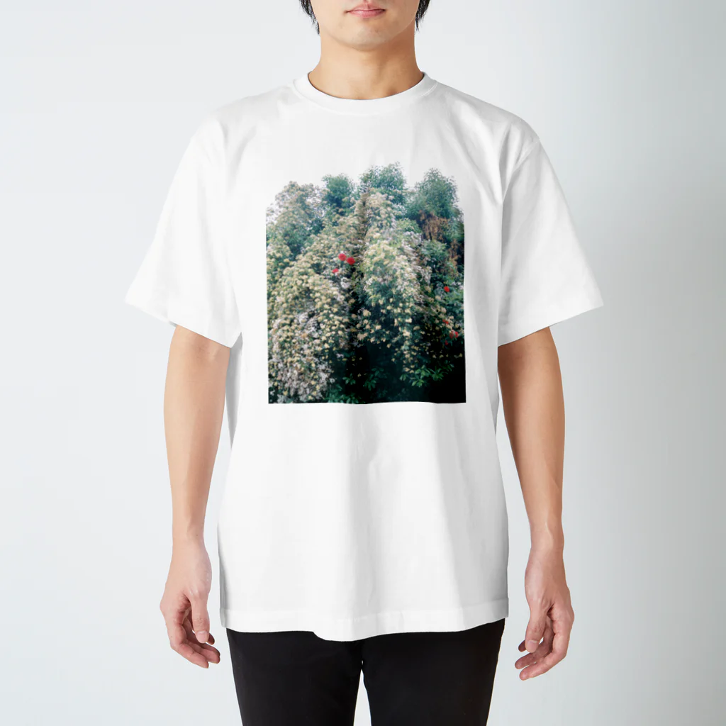 Kensuke Hosoyaの天国 Regular Fit T-Shirt