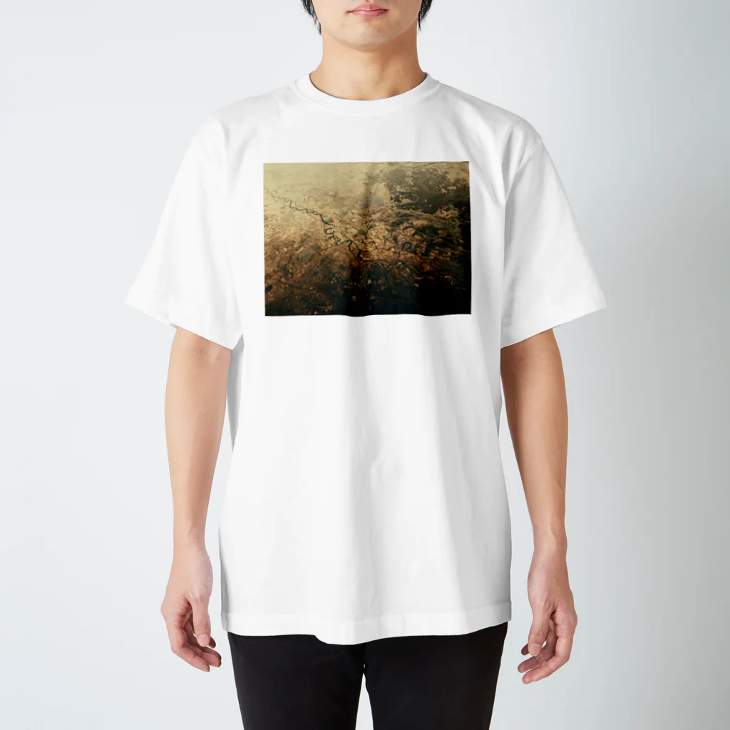 amayawinのfrom the window 16 スタンダードTシャツ