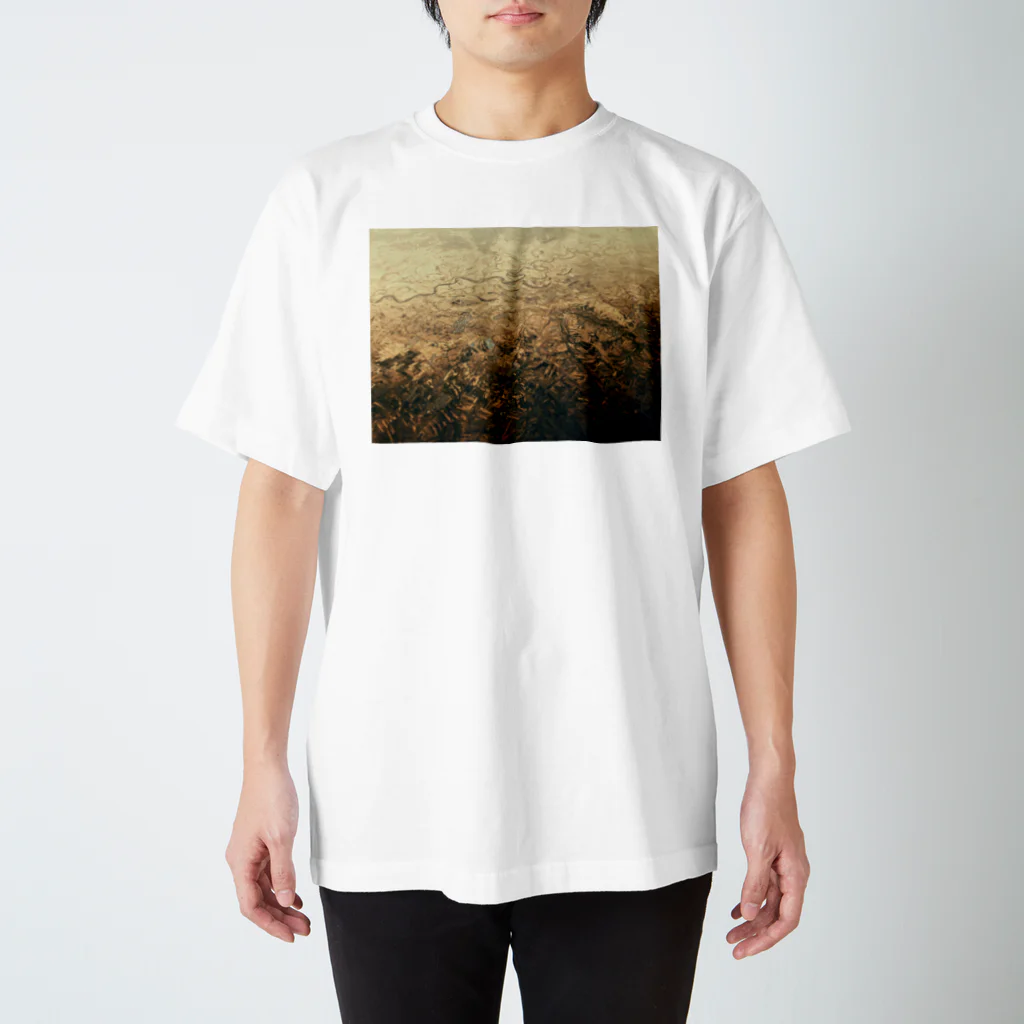 amayawinのfrom the window 20 スタンダードTシャツ