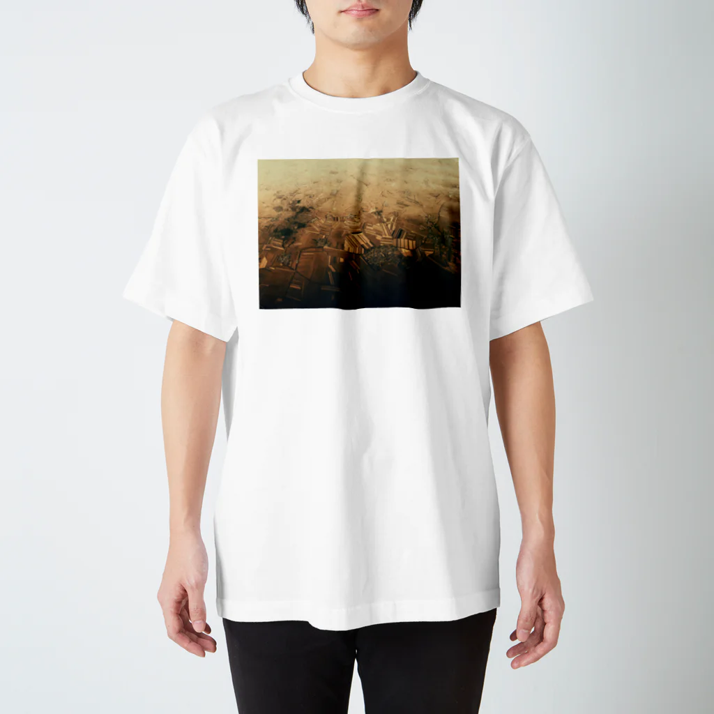 amayawinのfrom the window 24 スタンダードTシャツ