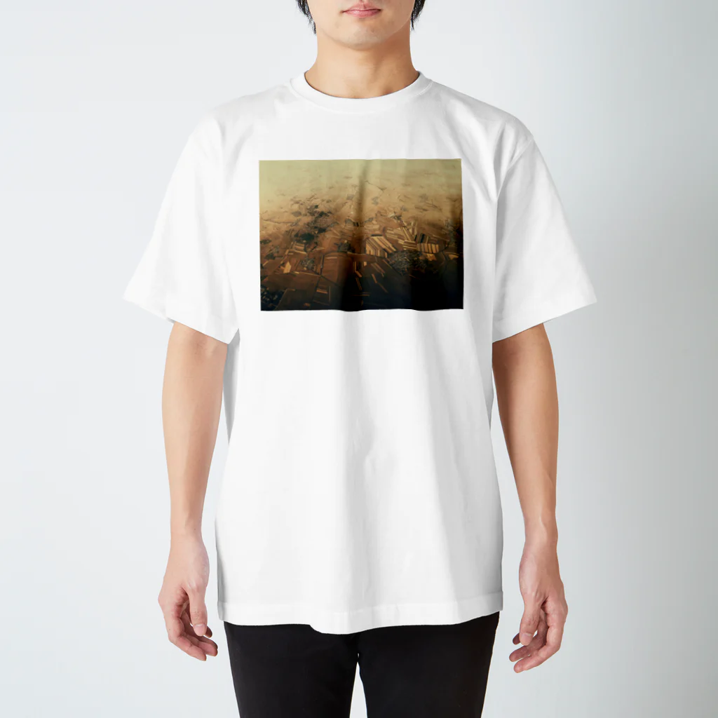 amayawinのfrom the window 25 スタンダードTシャツ