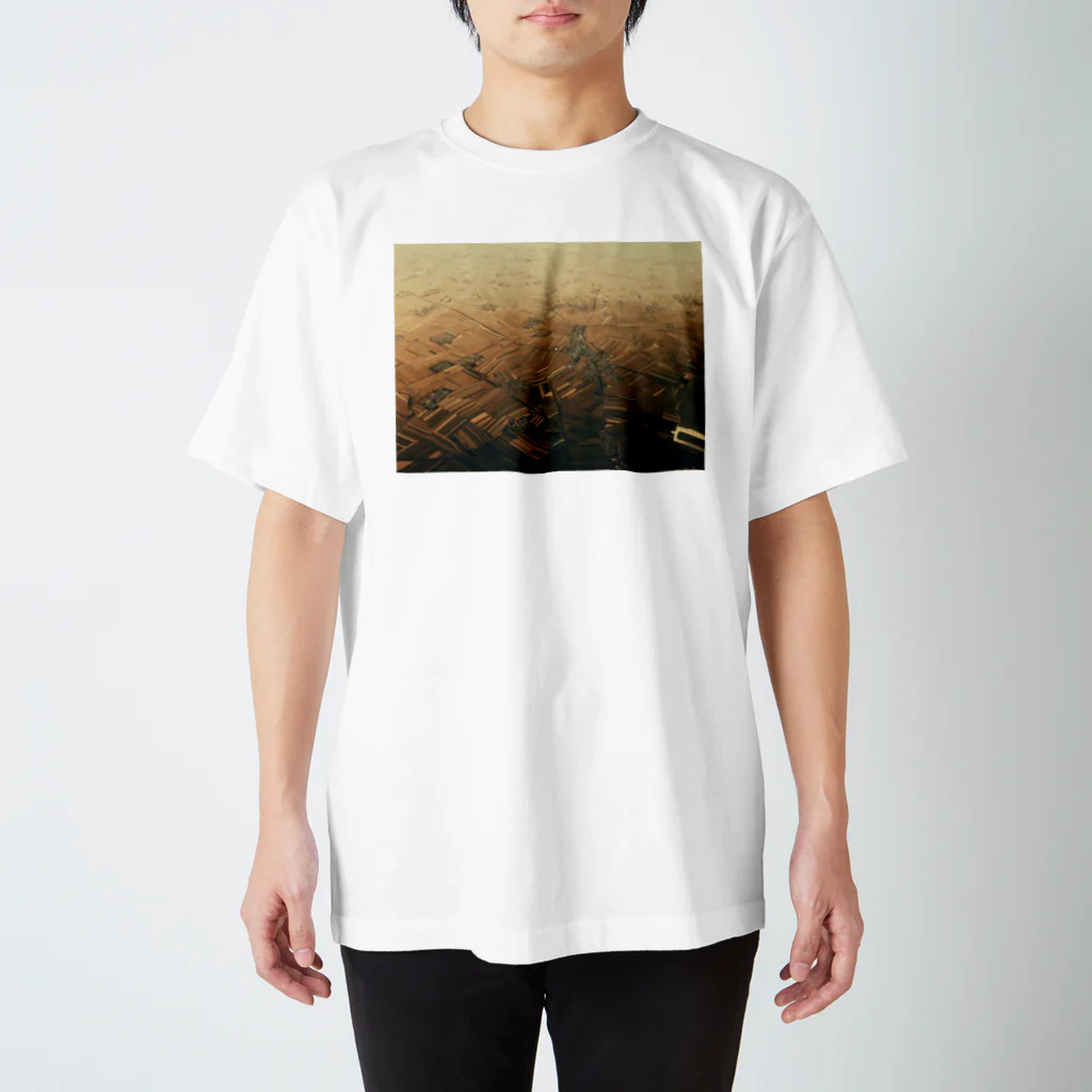 amayawinのfrom the window 26 Regular Fit T-Shirt