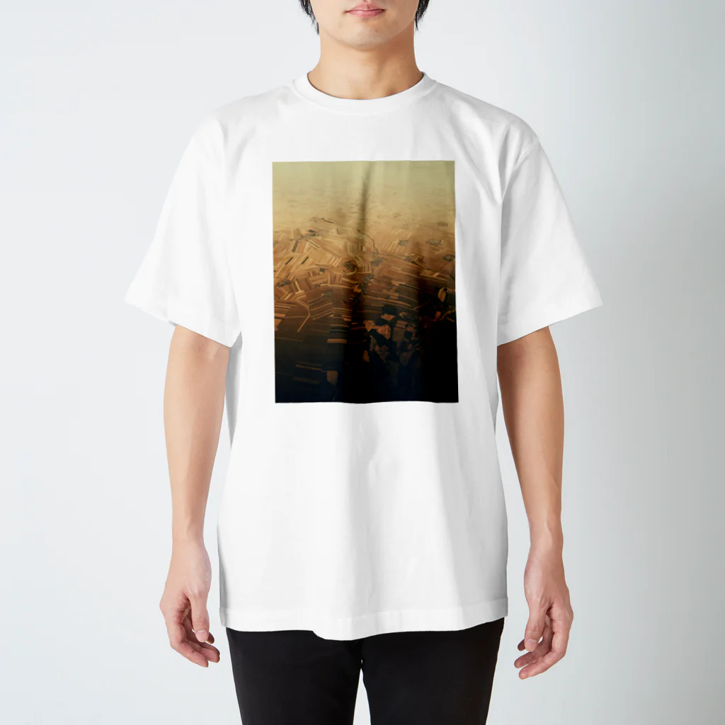 amayawinのfrom the window 29 スタンダードTシャツ