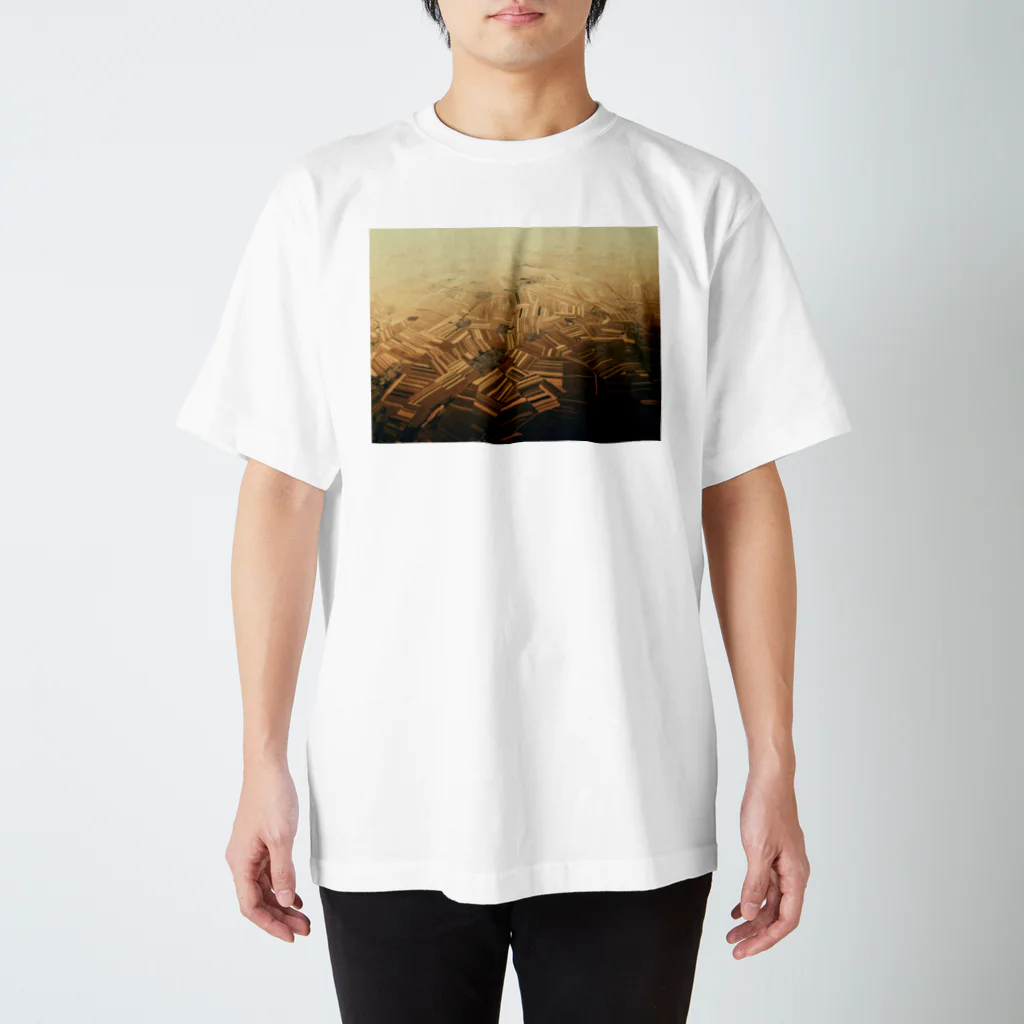 amayawinのfrom the window 32 Regular Fit T-Shirt