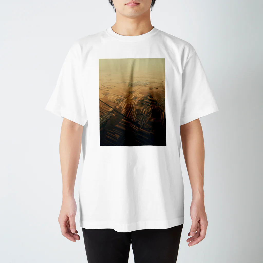 amayawinのfrom the window 33 Regular Fit T-Shirt