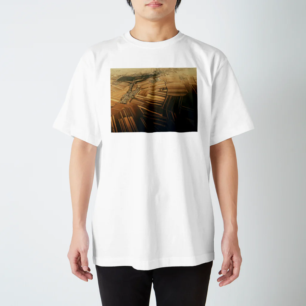 amayawinのfrom the window 39 スタンダードTシャツ