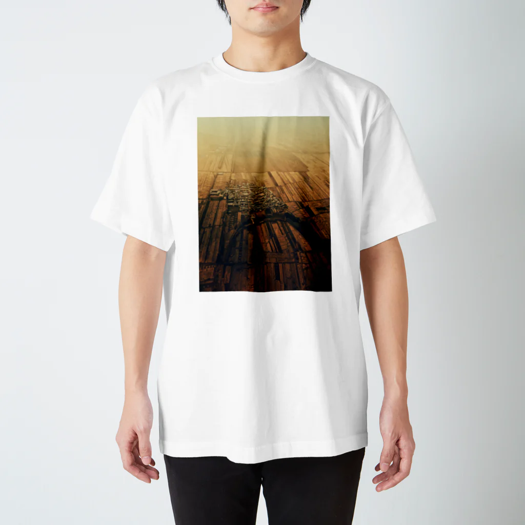 amayawinのfrom the window 45 Regular Fit T-Shirt