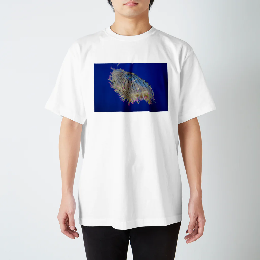 きゅなの海月 スタンダードTシャツ