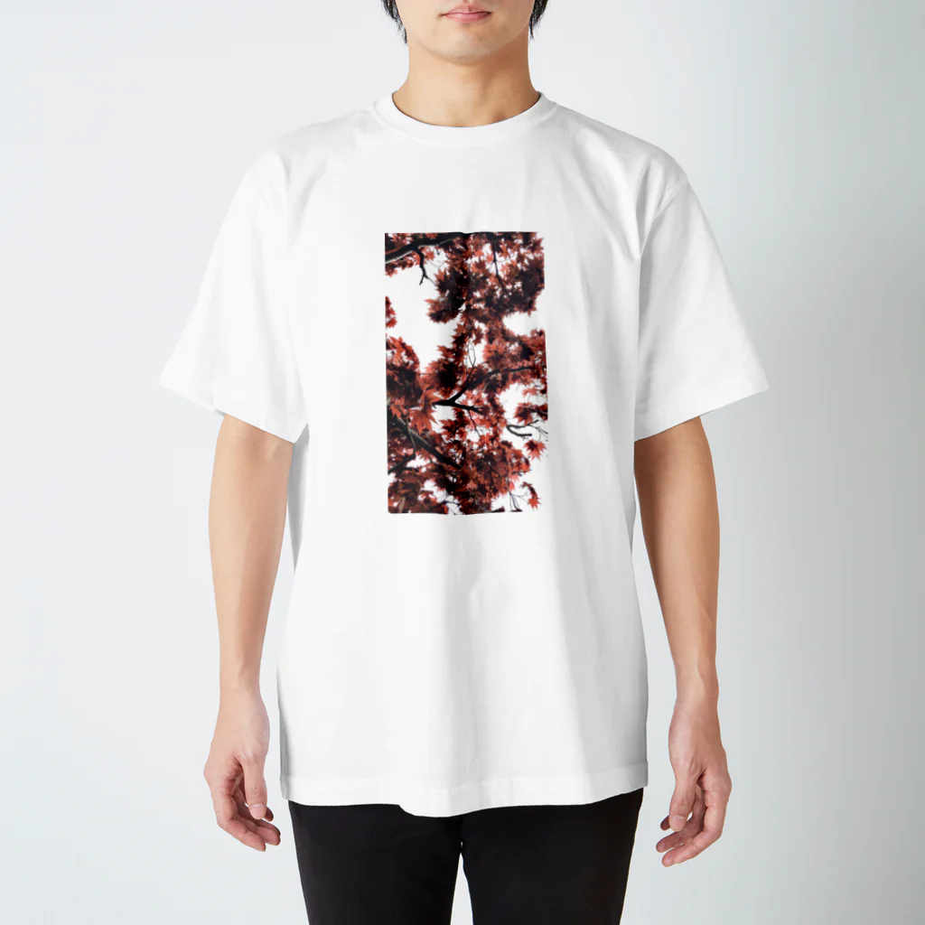 イエネコの植物　もみじ Regular Fit T-Shirt