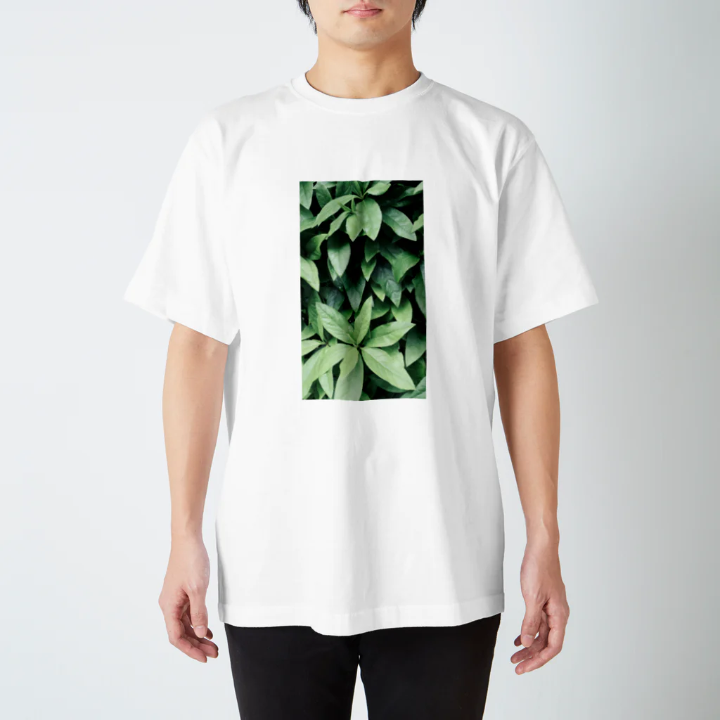 イエネコの植物　ツツジ スタンダードTシャツ