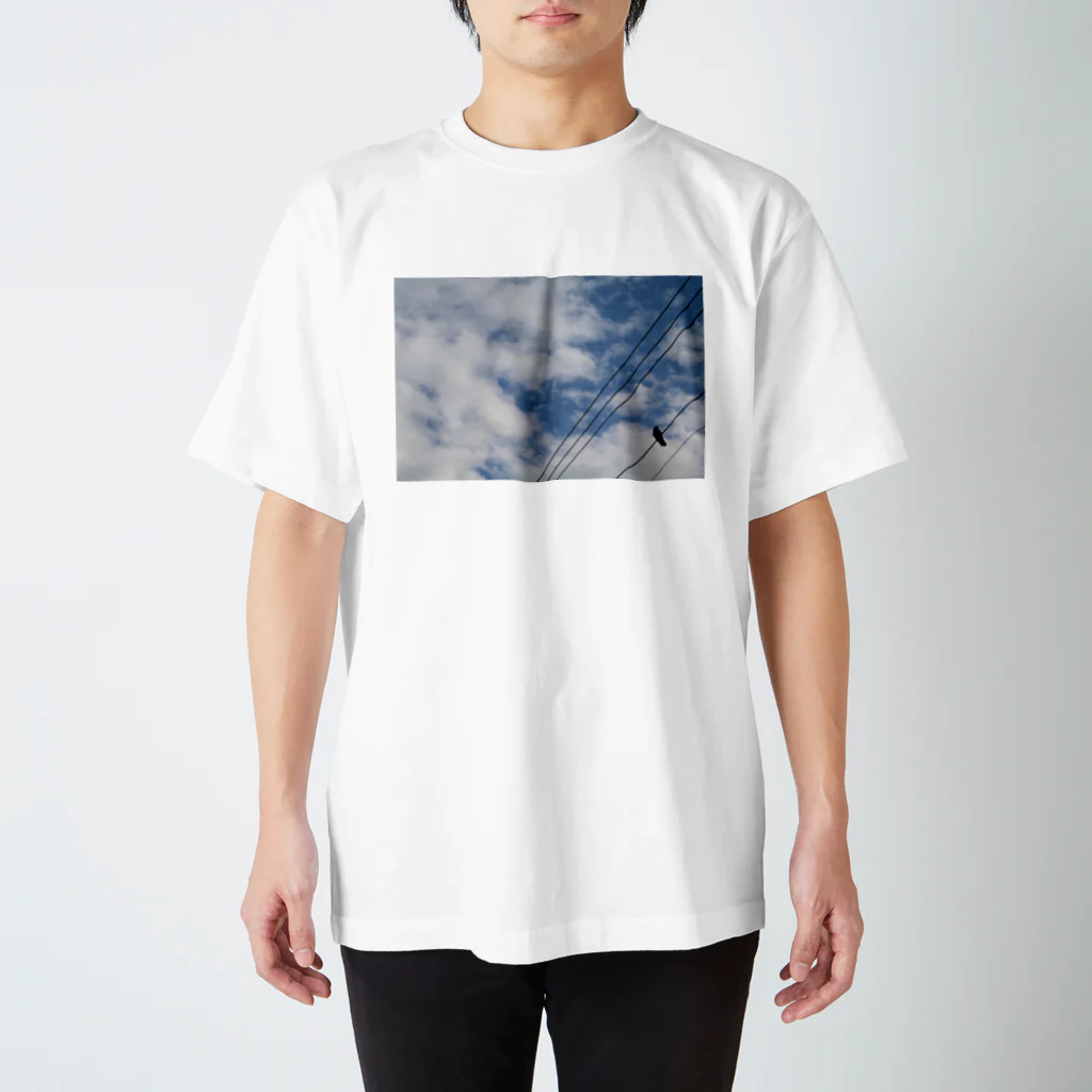 おたなっとーの空と烏 Regular Fit T-Shirt