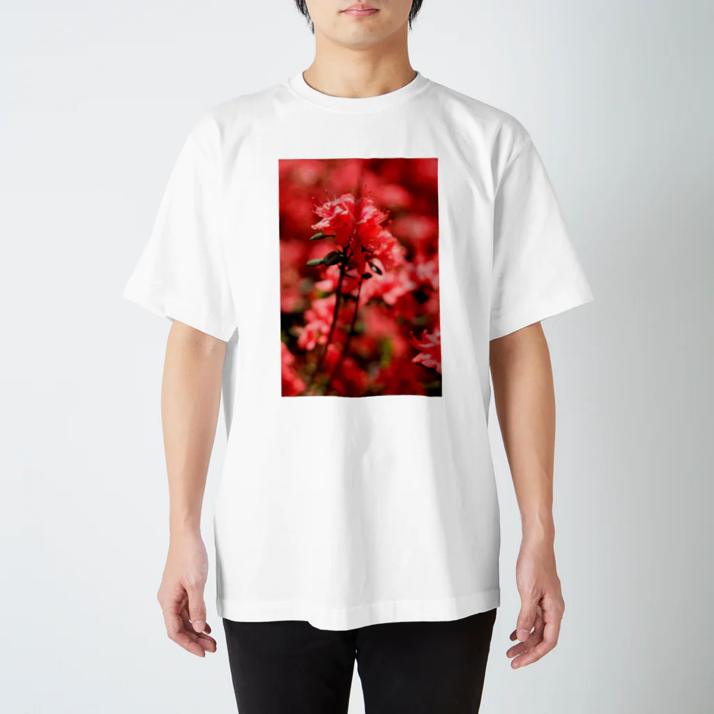 かぴばらのFLOWERS-あか- Regular Fit T-Shirt