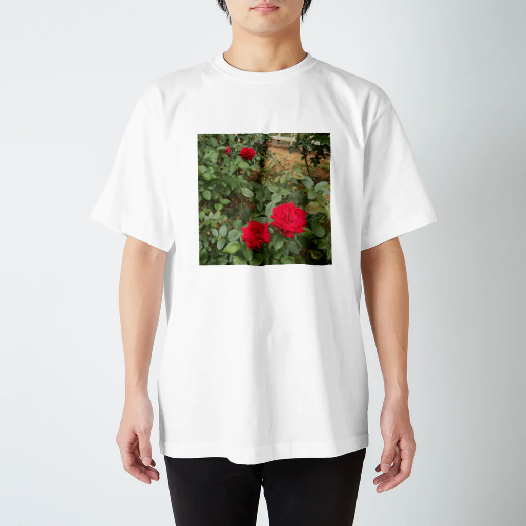 Kohの赤いバラ Regular Fit T-Shirt