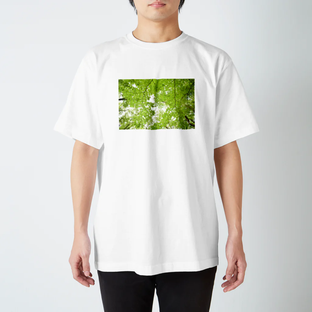 みさきの自然て素敵 スタンダードTシャツ