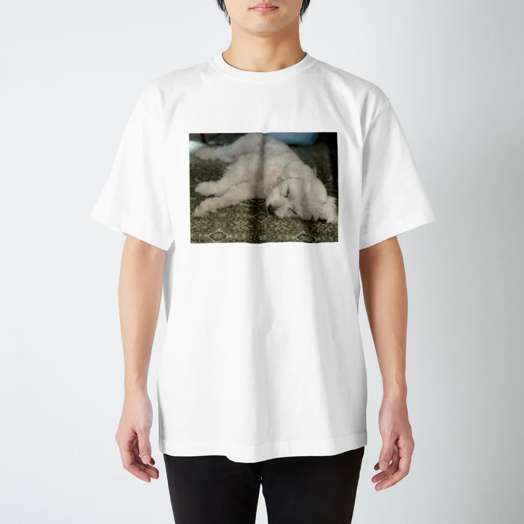 りりさんのこいぬのこはな Regular Fit T-Shirt