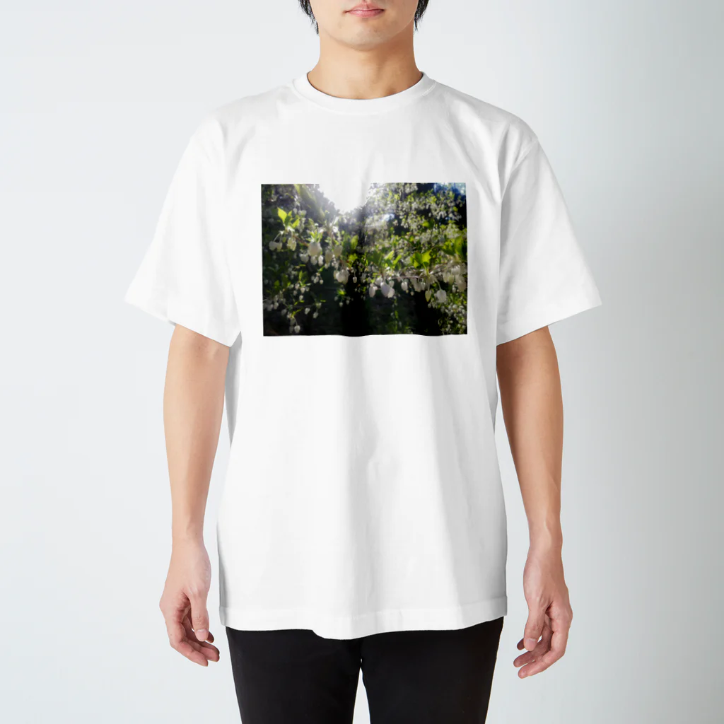 Fig.HiのHANA スタンダードTシャツ