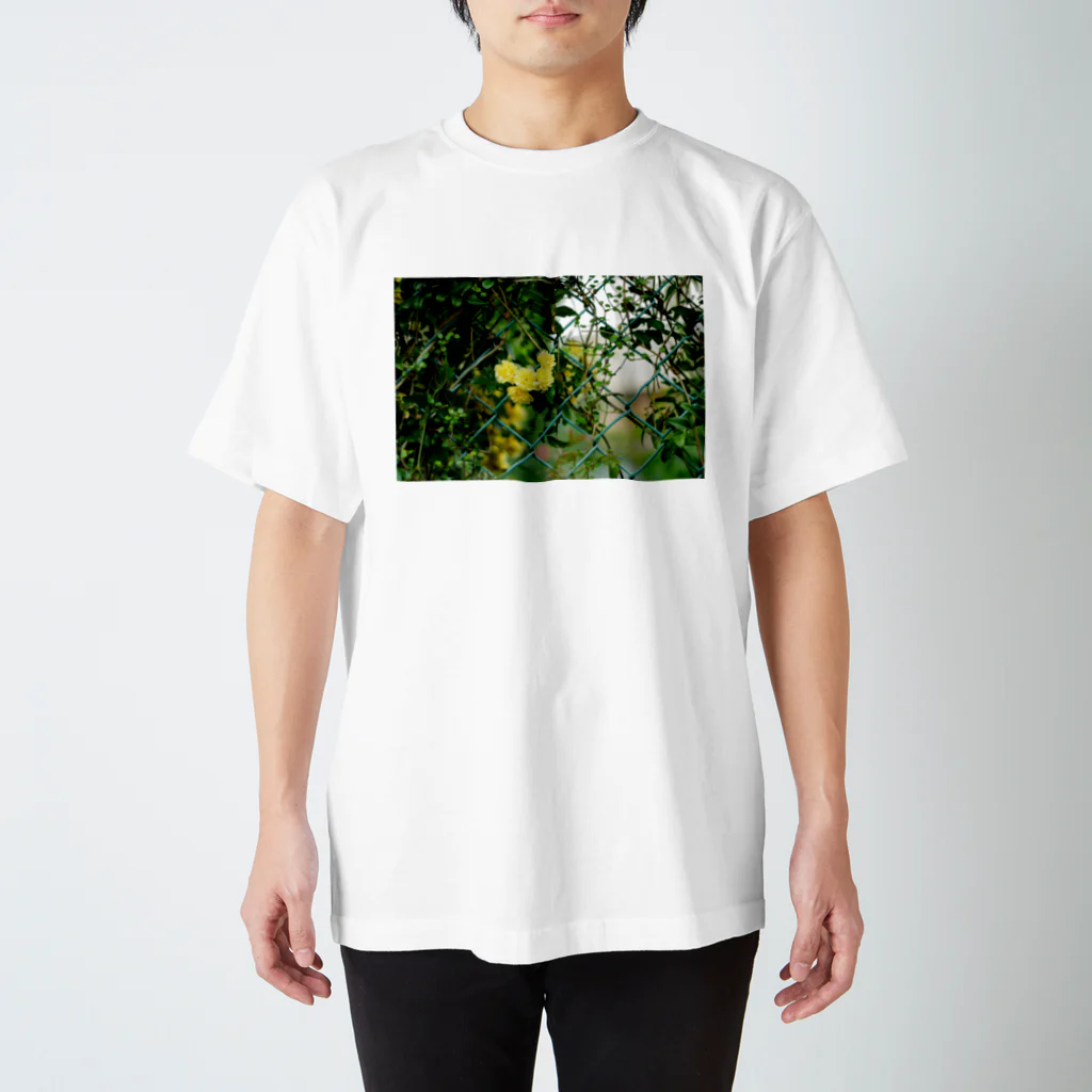 かぴばらのFLOWER-きいろ- スタンダードTシャツ