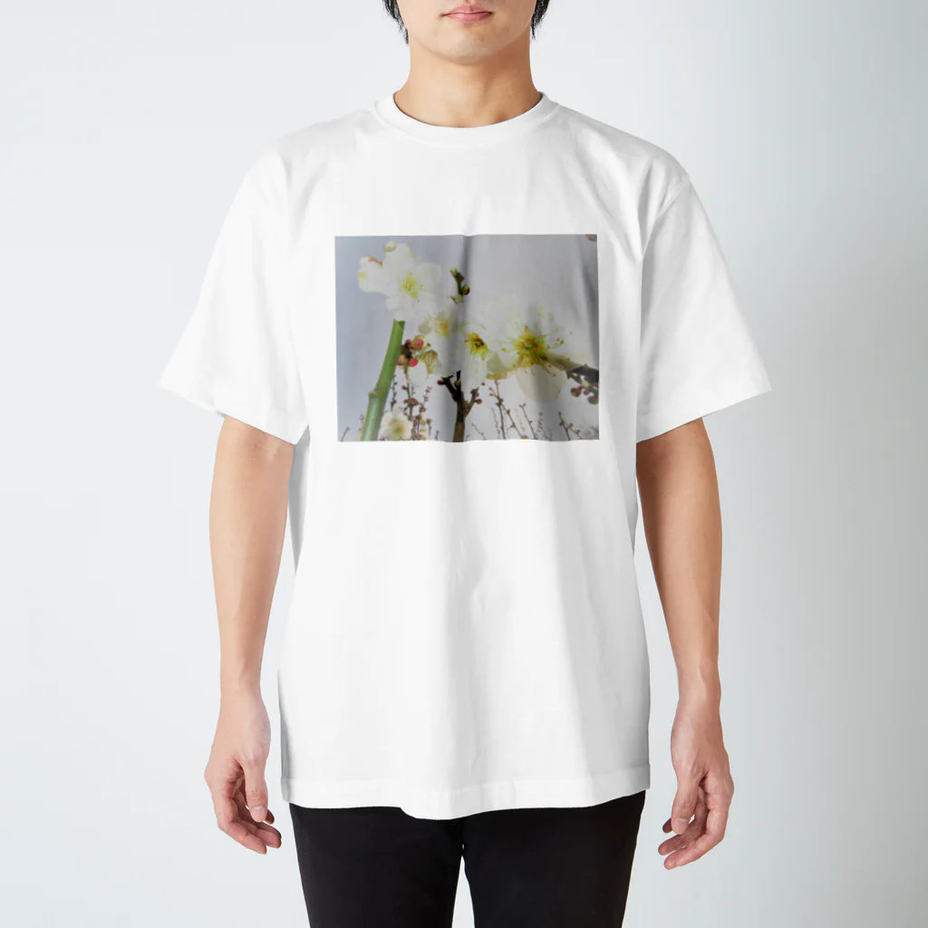 happypappyloveのTOKIMEKIFLOWER白梅花 Regular Fit T-Shirt