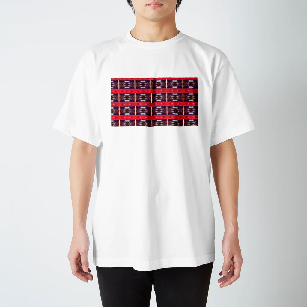 Kazuki SamataのModern ethnic costume_24.01.2016 スタンダードTシャツ