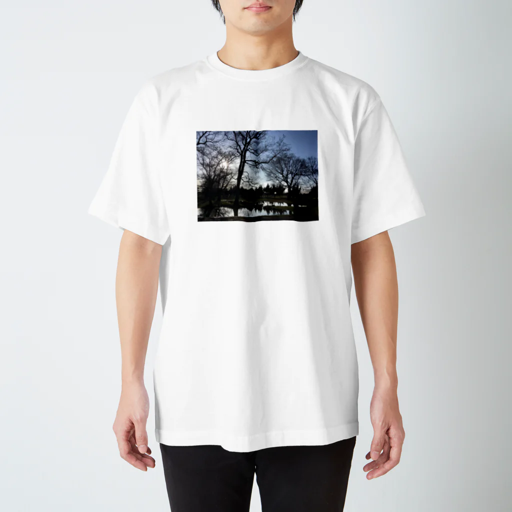 Too fool campers Shop!のAfter the rain02 スタンダードTシャツ