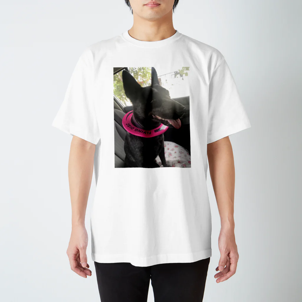 Pchan goodiesのNarah スタンダードTシャツ