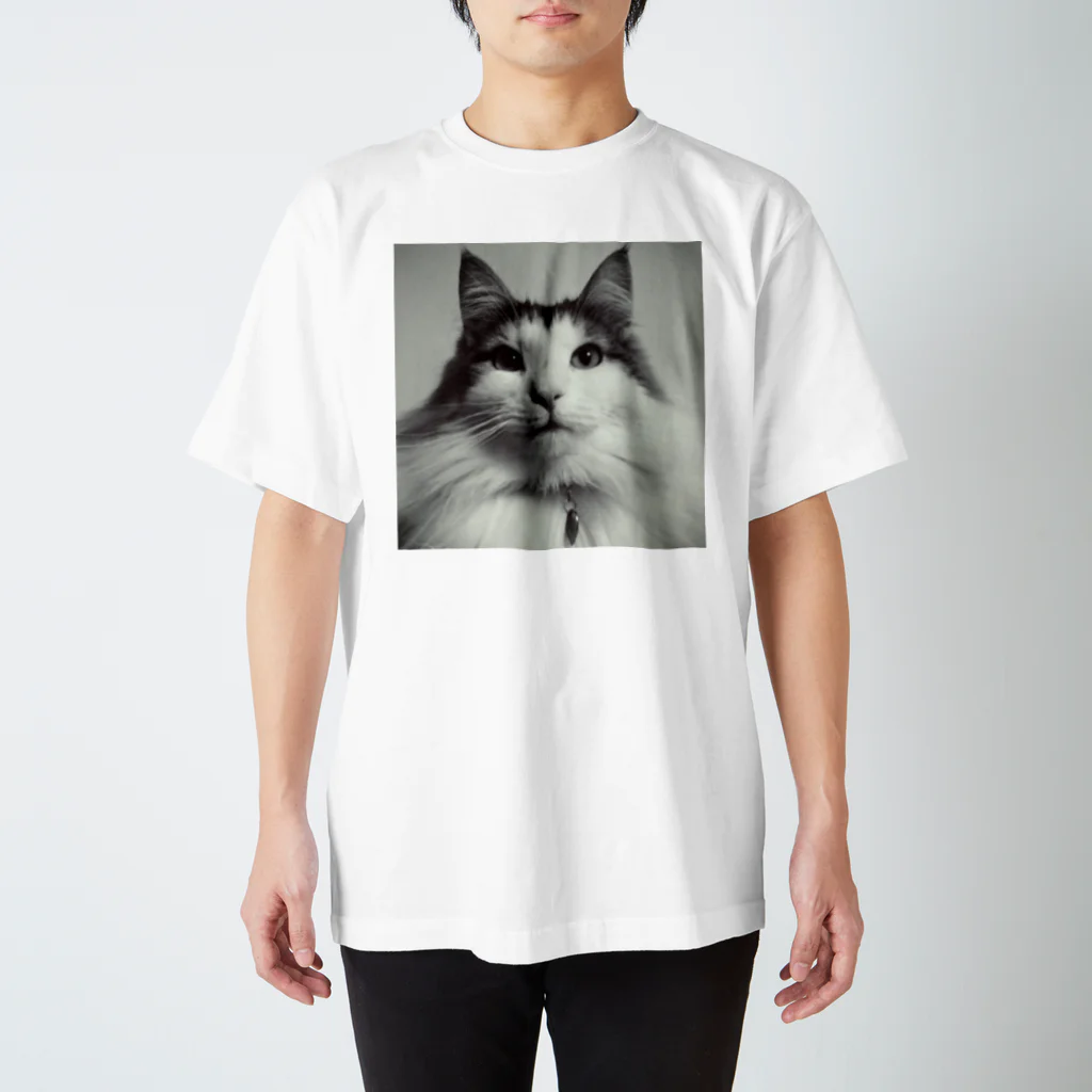 甘草亭の猫 Regular Fit T-Shirt