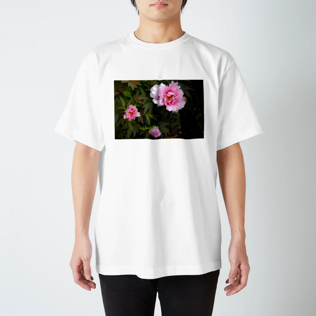 Rendez-vous à Tokyoランデヴーア　トウキョウのFleur du jardin 庭の花 スタンダードTシャツ