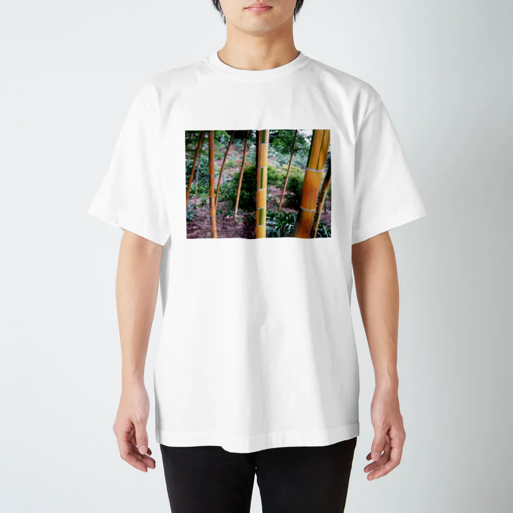 Rendez-vous à Tokyoランデヴーア　トウキョウのBamboo 竹 スタンダードTシャツ