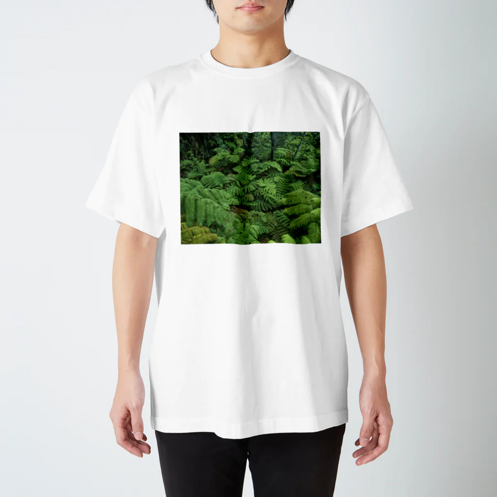 Hironori Murayama photographyのVOLCANO FOREST スタンダードTシャツ