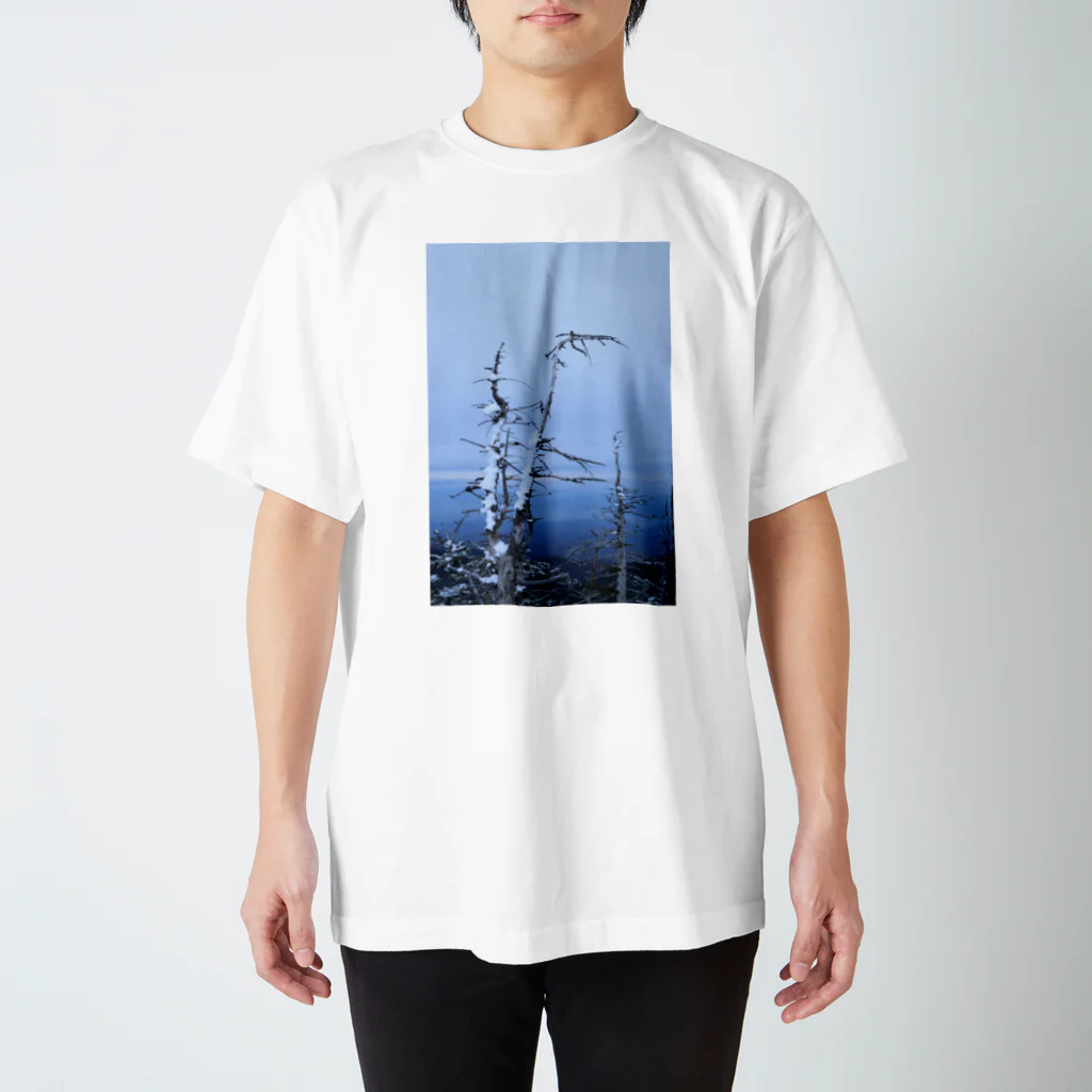 フォトグラファー小室直子の雪山 スタンダードTシャツ