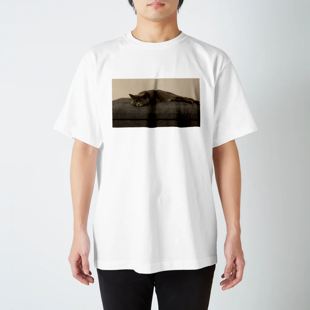 viviemonのGure Regular Fit T-Shirt