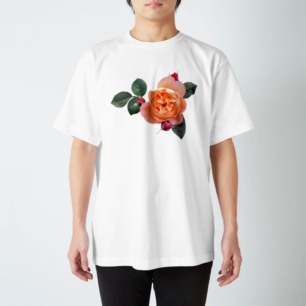 コマタヒチの【ロマン】蕾と葉のついたオレンジピンクの薔薇 スタンダードTシャツ