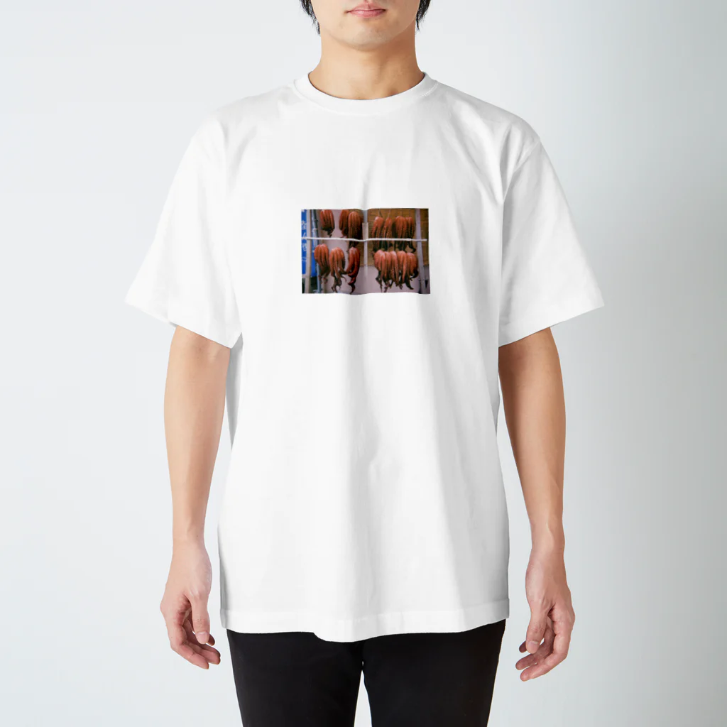 青 海 フィルム 日常のタコ taco たこ スタンダードTシャツ