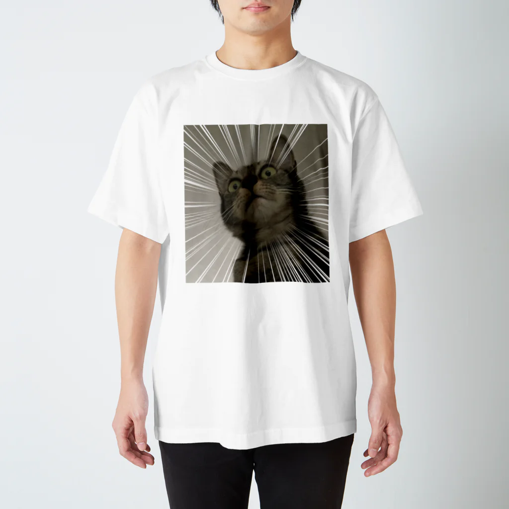 tanizakiizumi-goodsのうずらびっくり Regular Fit T-Shirt