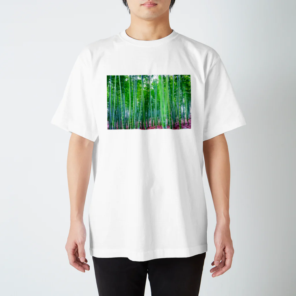 saraquaarinaの竹林 Regular Fit T-Shirt