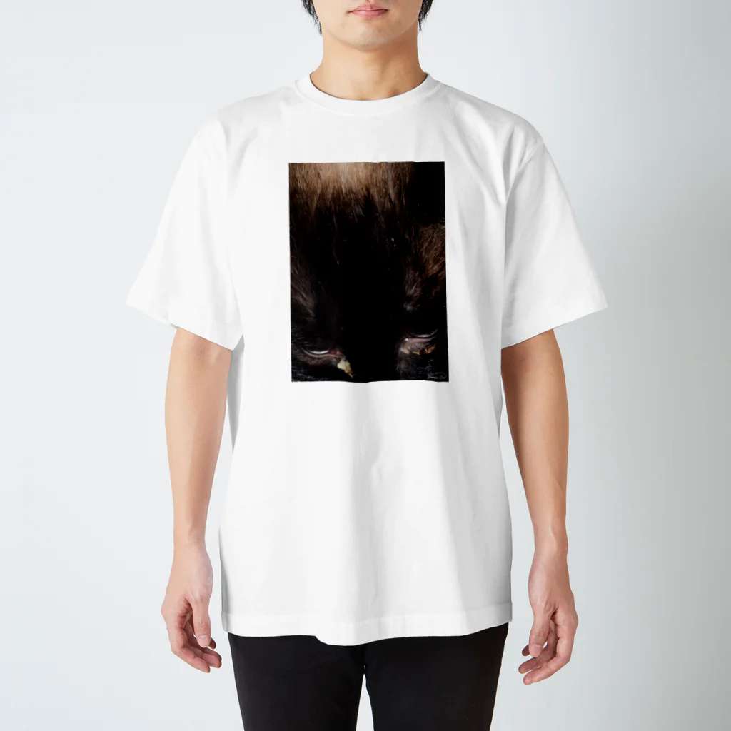 小さな野原の眼差し Regular Fit T-Shirt