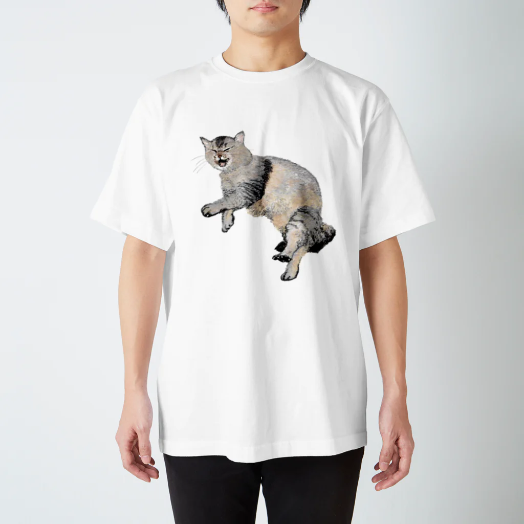 unyahamuの猫ののら スタンダードTシャツ