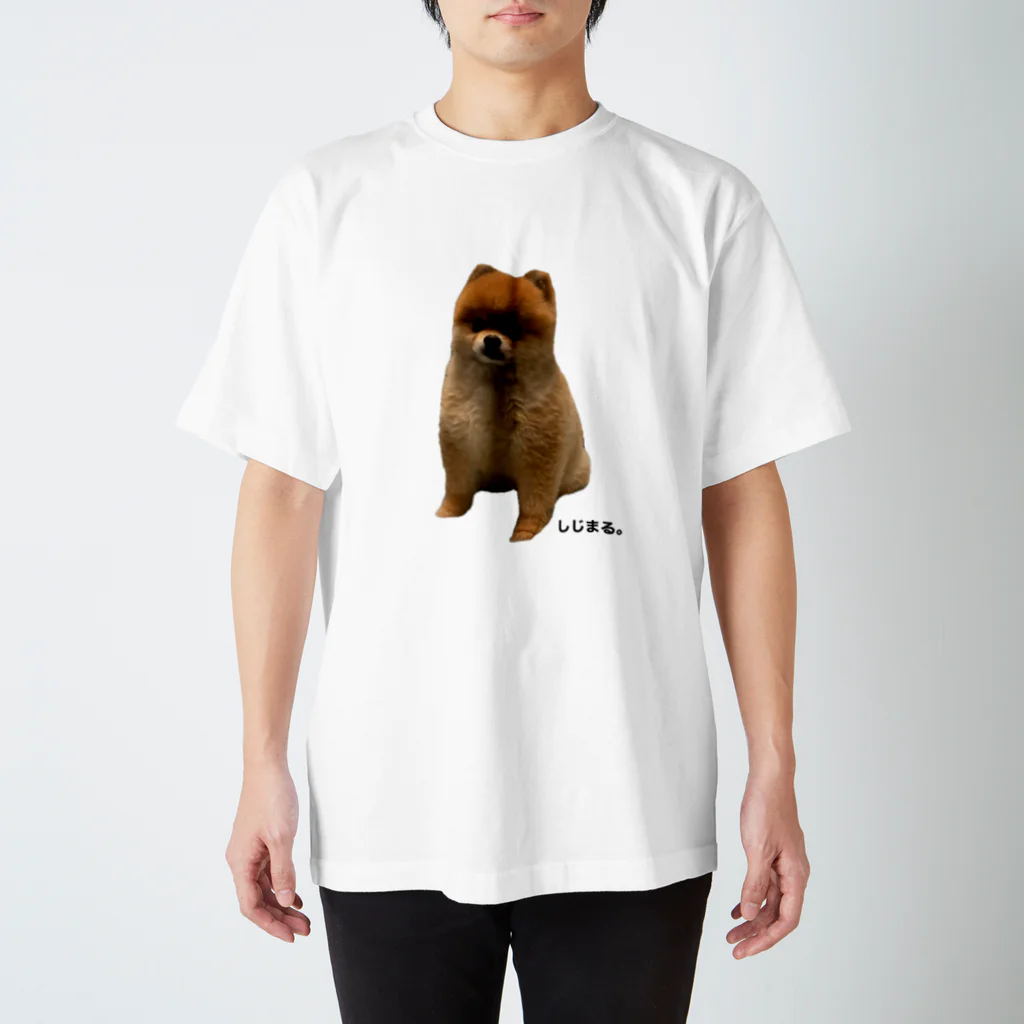 ぱんださん家のしーくんかわいいね Regular Fit T-Shirt