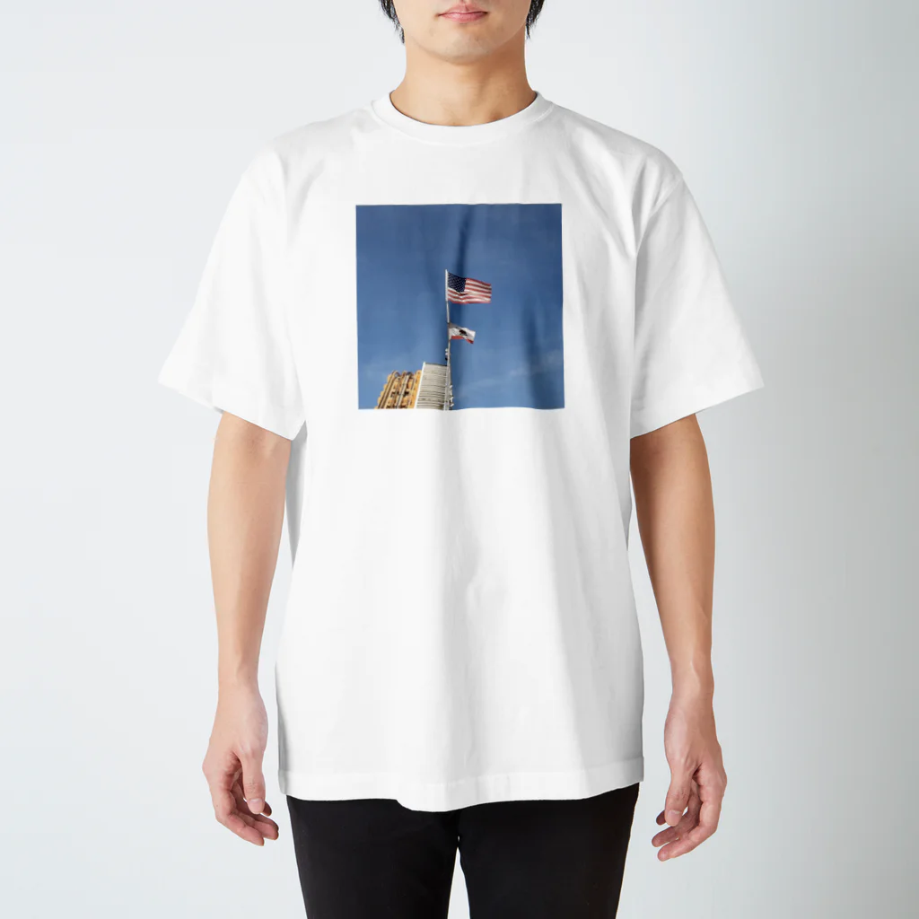 ひそかのおみせやさんのThis is America  Regular Fit T-Shirt