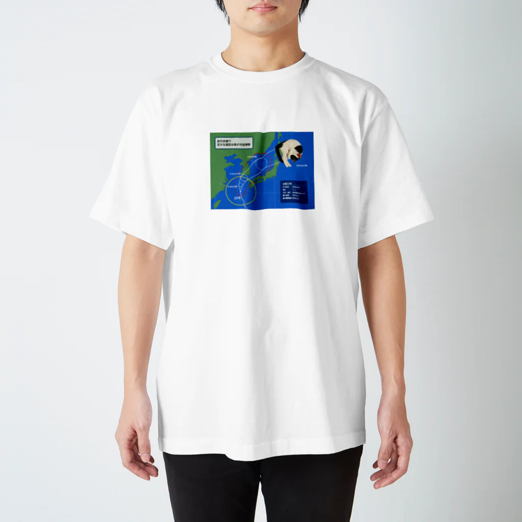 canned720の台風22(ﾆｬﾝﾆｬﾝ)号 スタンダードTシャツ