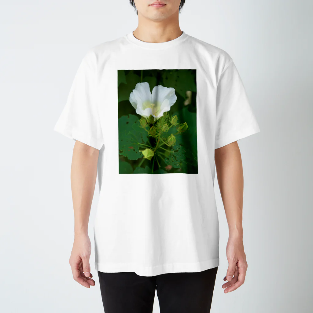 hiroki-naraの芙蓉 DATA_P_132　Confederate Rose ハスの花の古名 スタンダードTシャツ