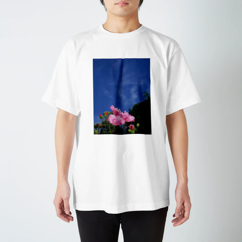 hiroki-naraの芙蓉 DATA_P_133　Confederate Rose ハスの花の古名 スタンダードTシャツ