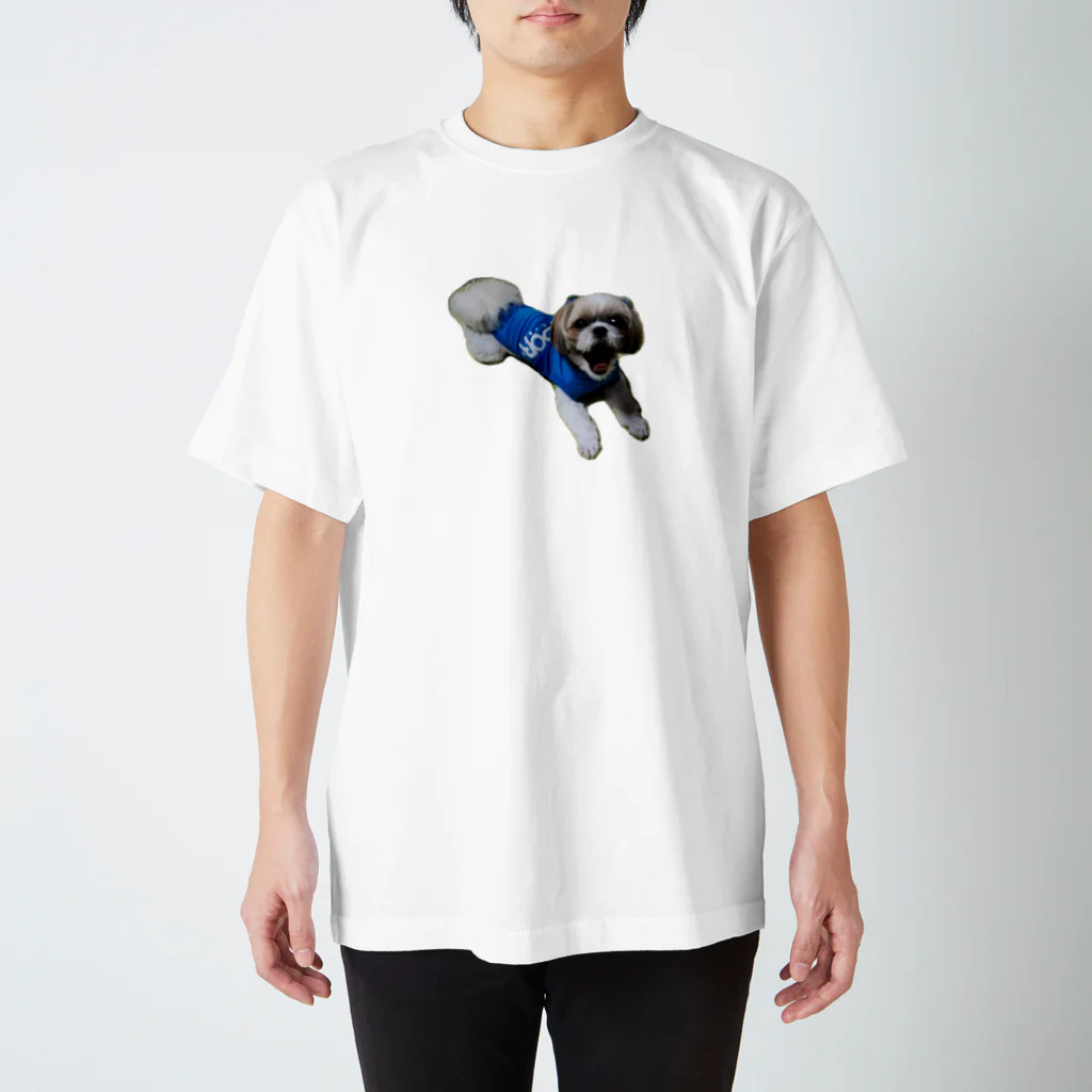 こがちゃんのがおーレオくん スタンダードTシャツ