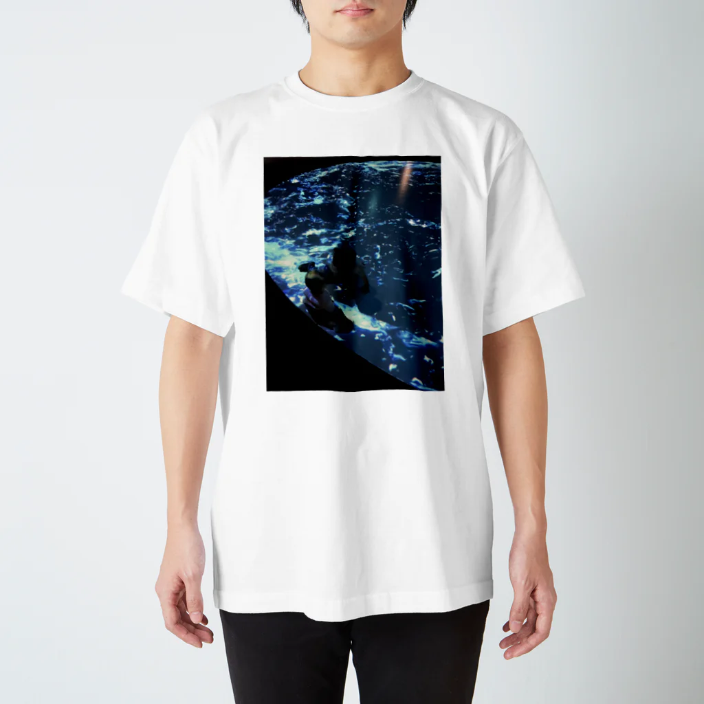 nature_natureの宇宙 スタンダードTシャツ