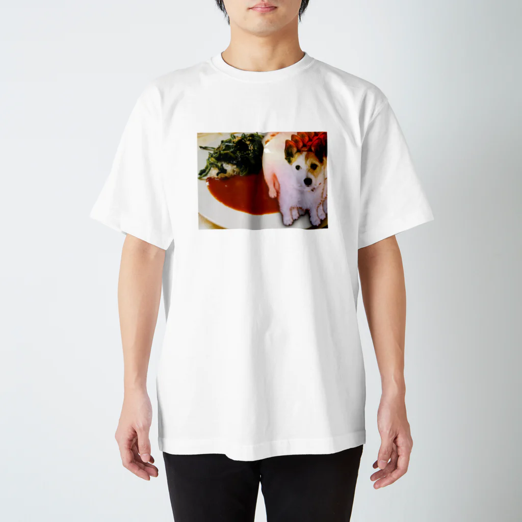 machida_machikoの犬とほうれん草カレー スタンダードTシャツ