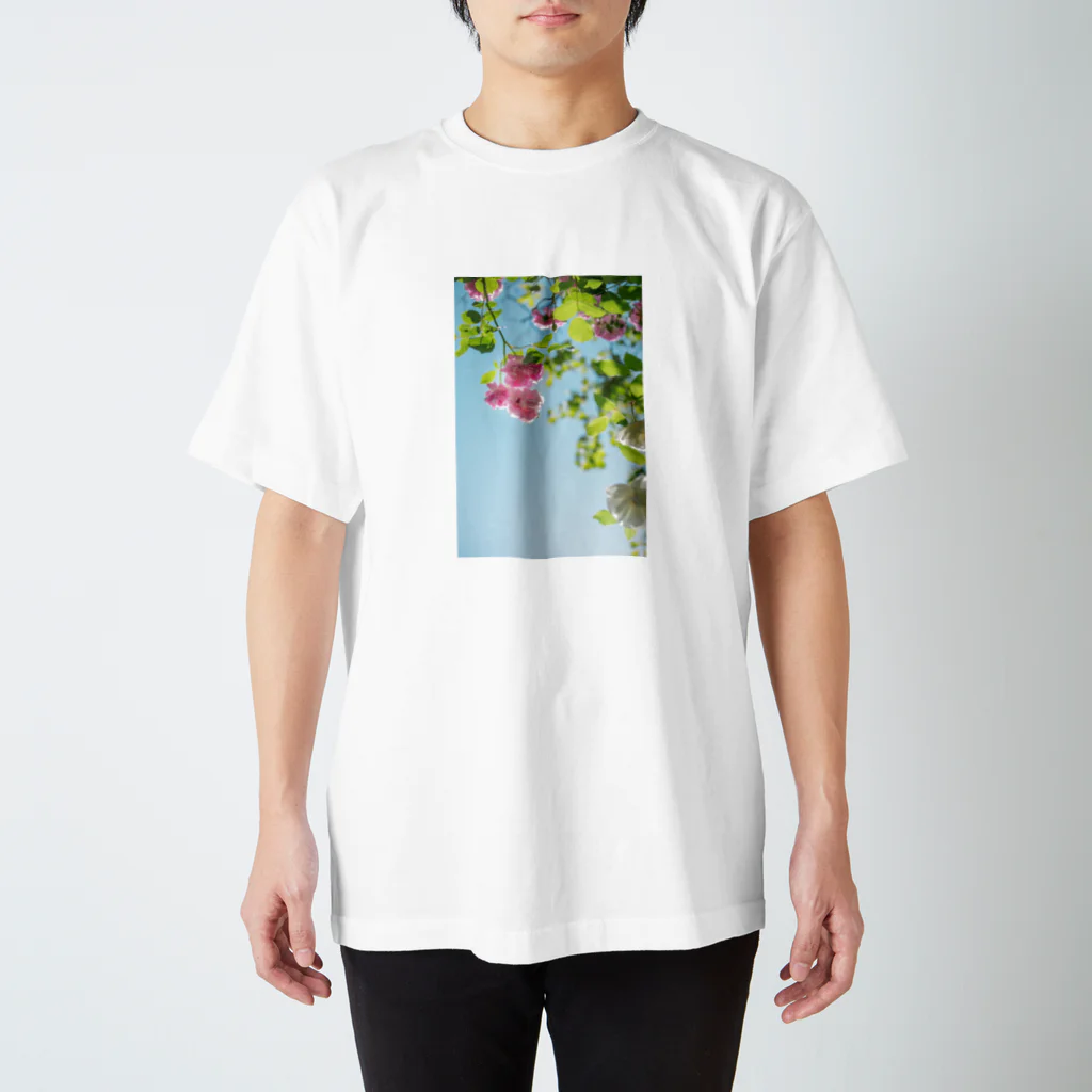 BLACKANDWHITEのrose sky スタンダードTシャツ